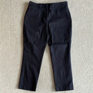 Ann Taylor Factory Polished Denim Ankle Pants